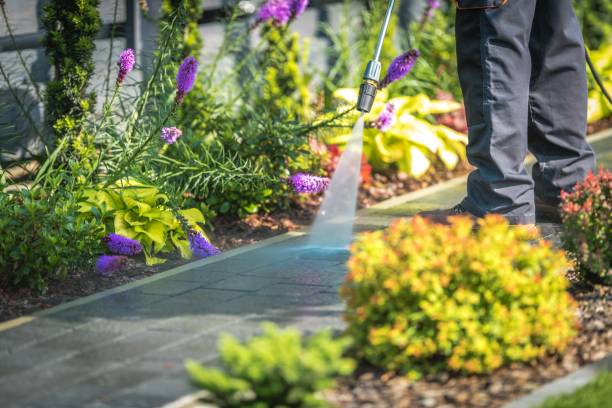 Best Spring Cleaning  in Madison, FL