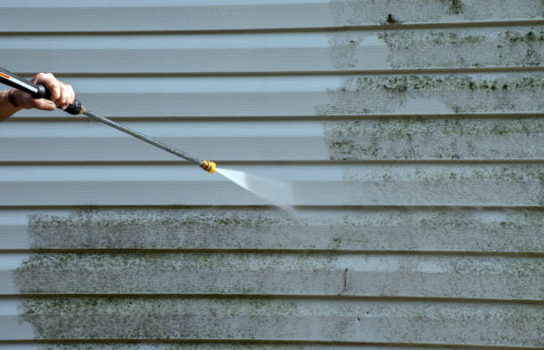 Best Driveway Pressure Washing  in Madison, FL